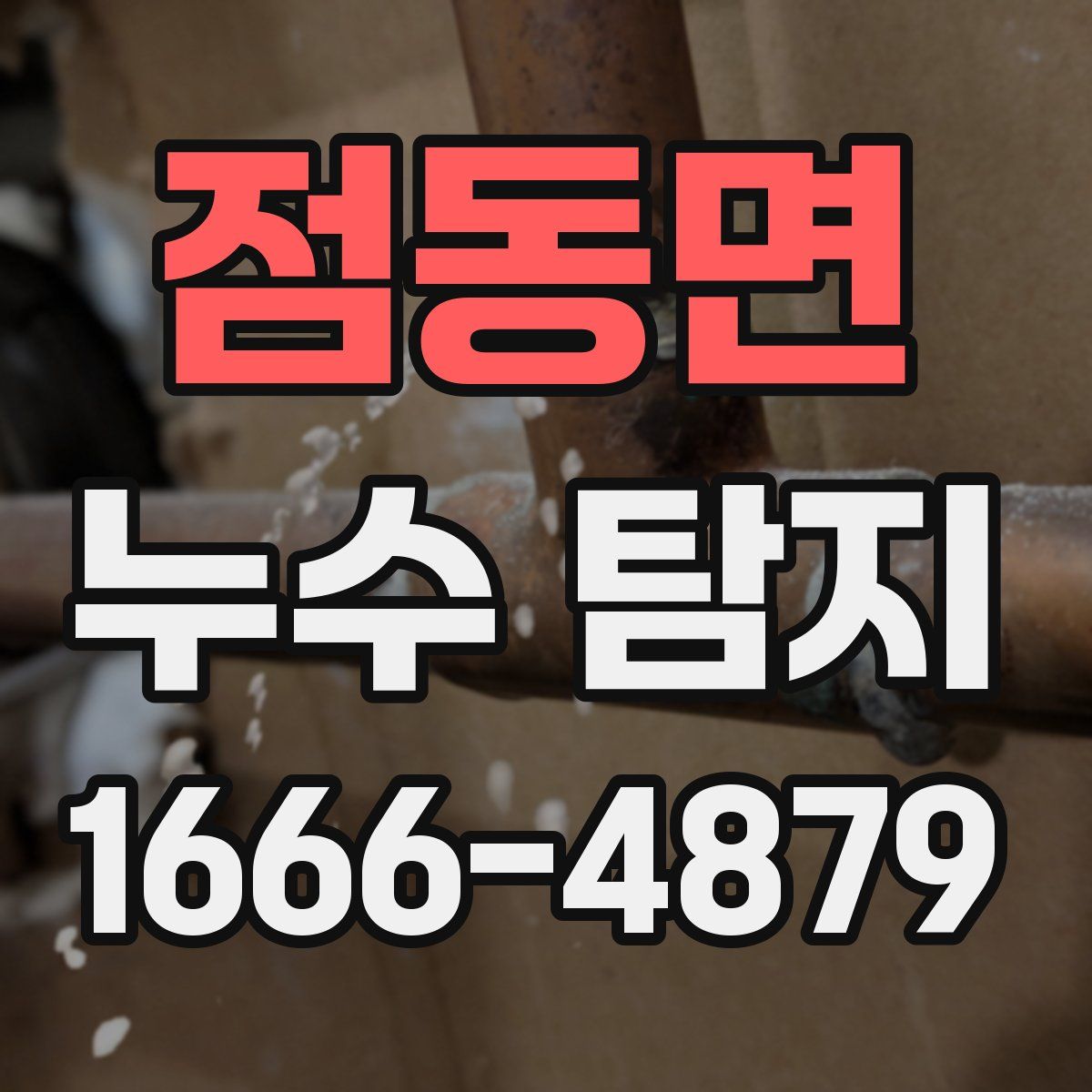 점동면 누수 탐지