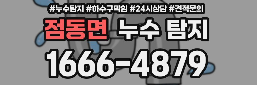 점동면 누수 탐지