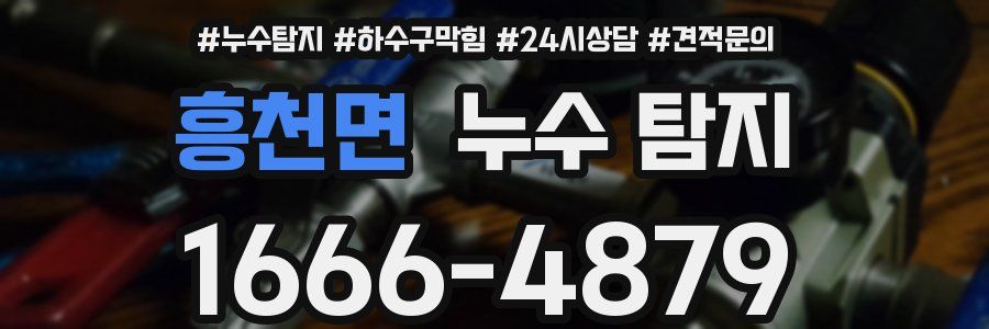 흥천면 누수 탐지