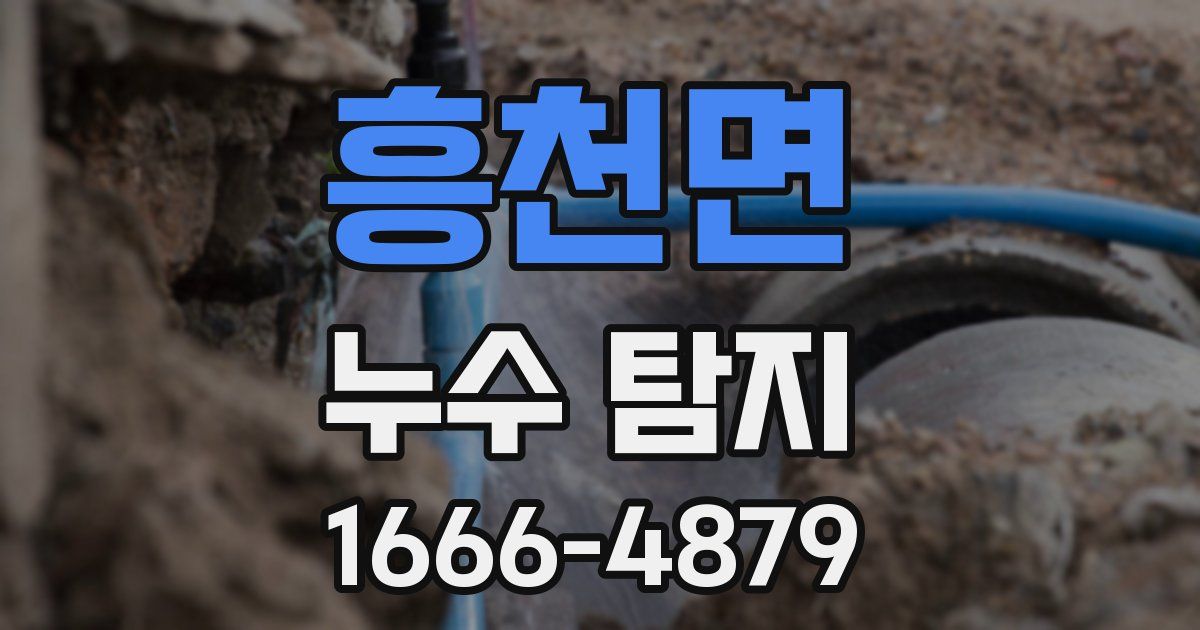 흥천면 누수 탐지