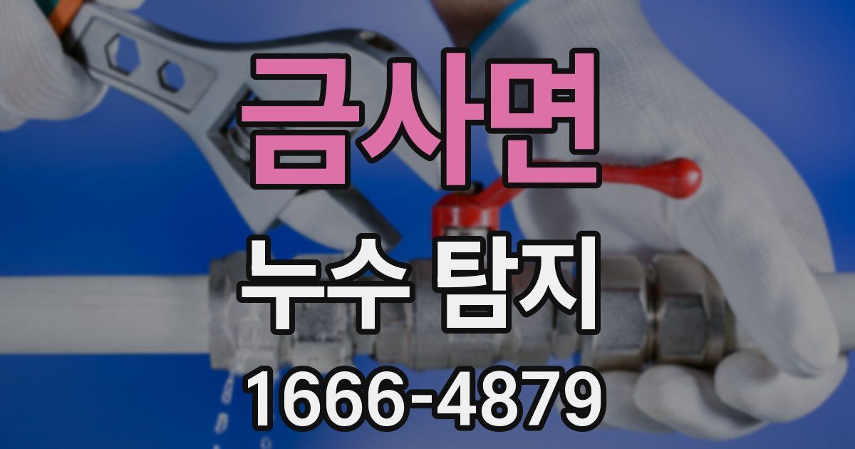 금사면 누수 탐지