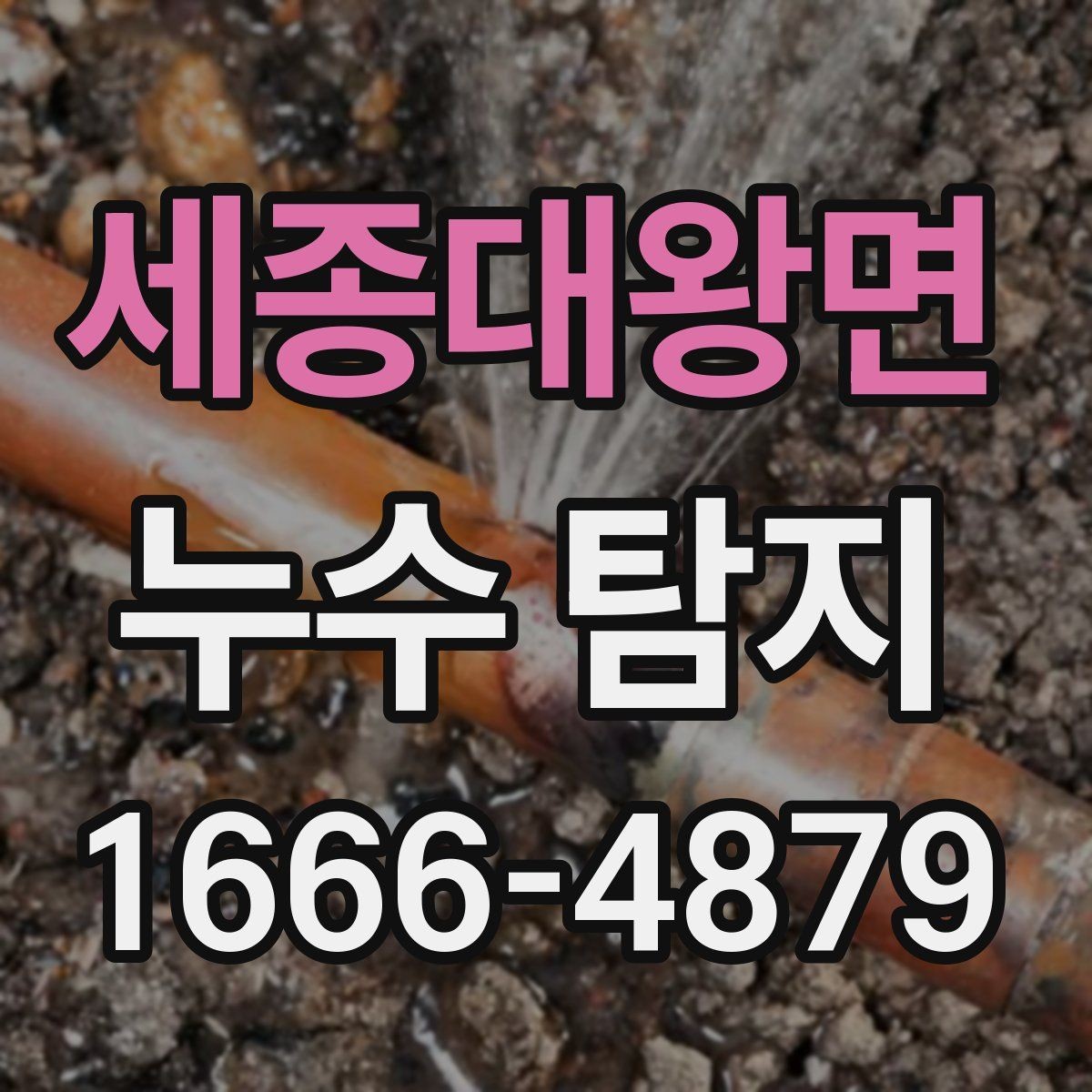 세종대왕면 누수 탐지 기준은 무엇을 보면 좋을까