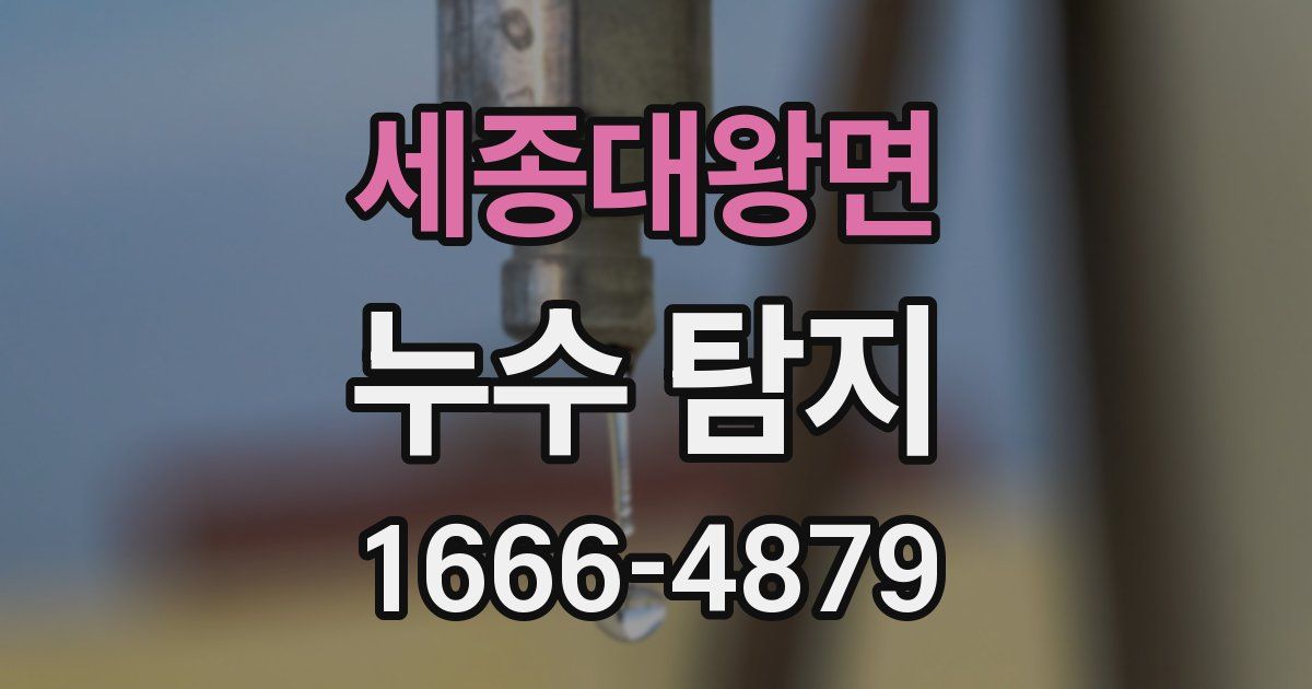 세종대왕면 누수 탐지