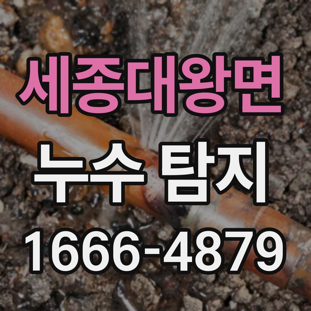 세종대왕면 누수 탐지
