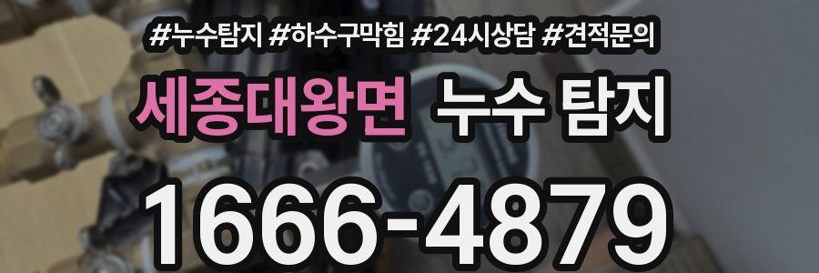 세종대왕면 누수 탐지