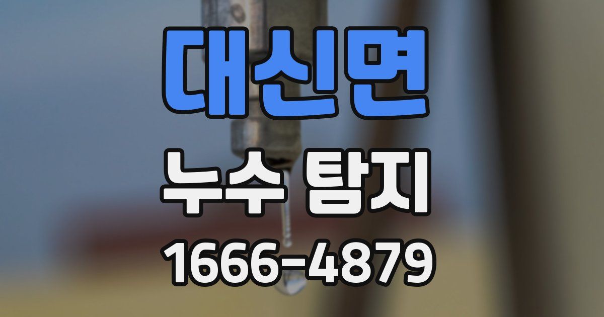 대신면 누수 탐지