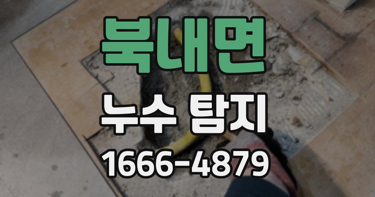 북내면 누수 탐지