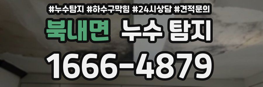 북내면 누수 탐지