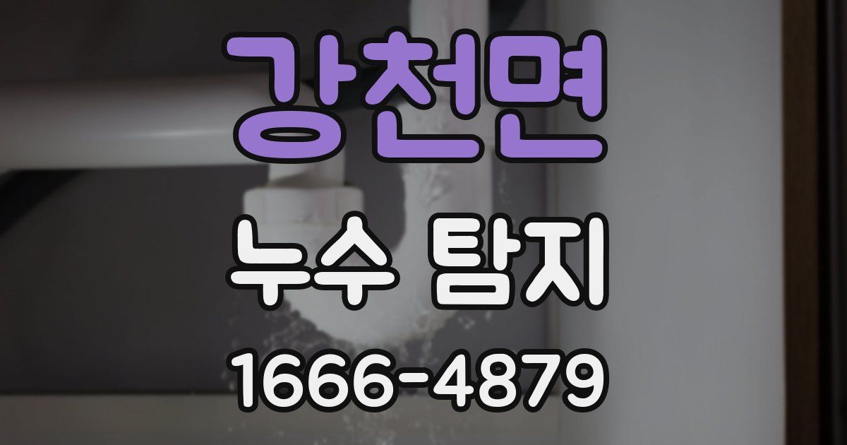 강천면 누수 탐지