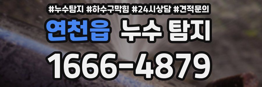 연천읍 누수 탐지