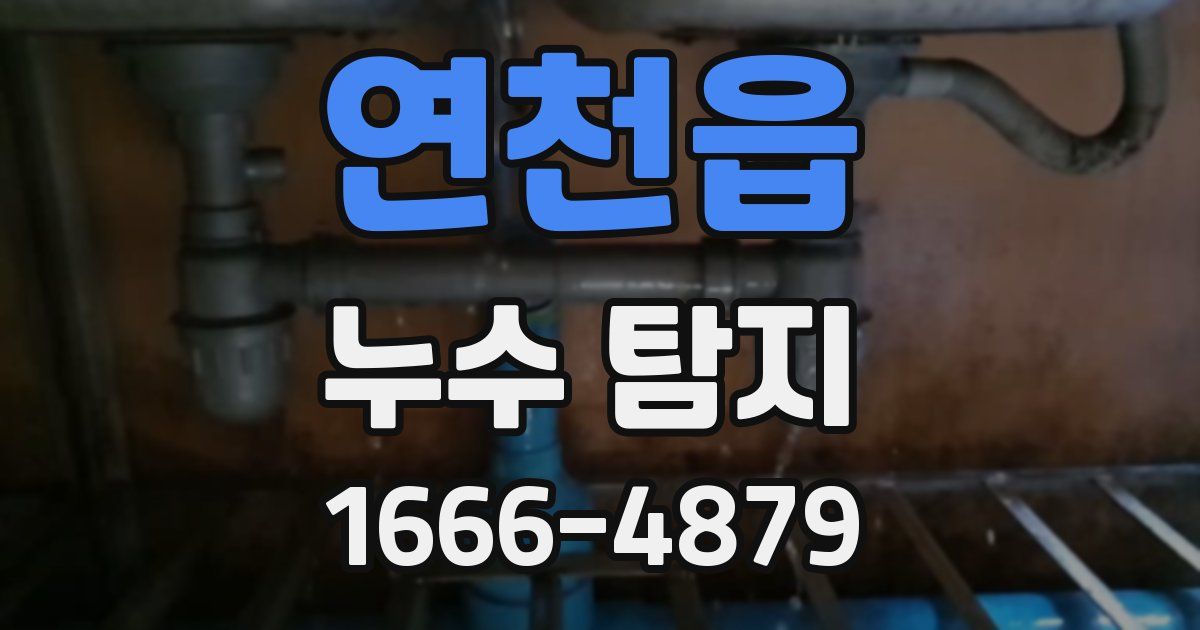 연천읍 누수 탐지