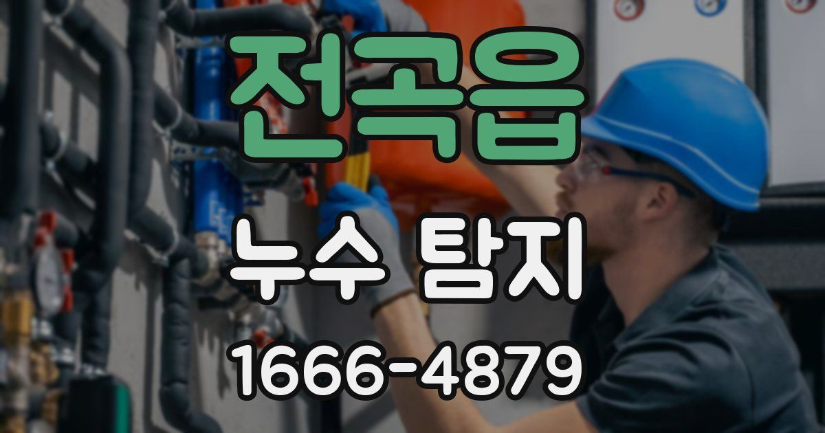 전곡읍 누수 탐지