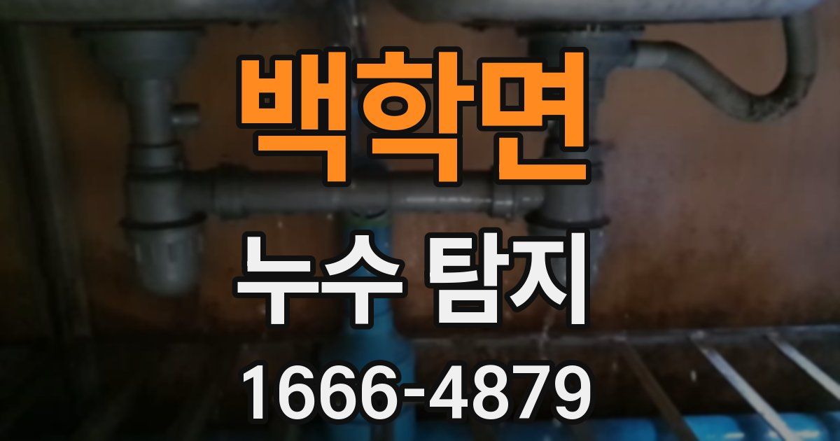 백학면 누수 탐지