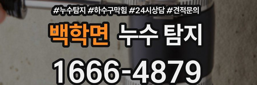 백학면 누수 탐지