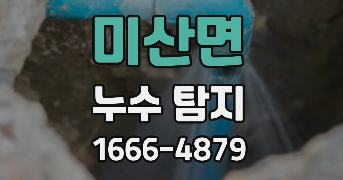 미산면 누수 탐지