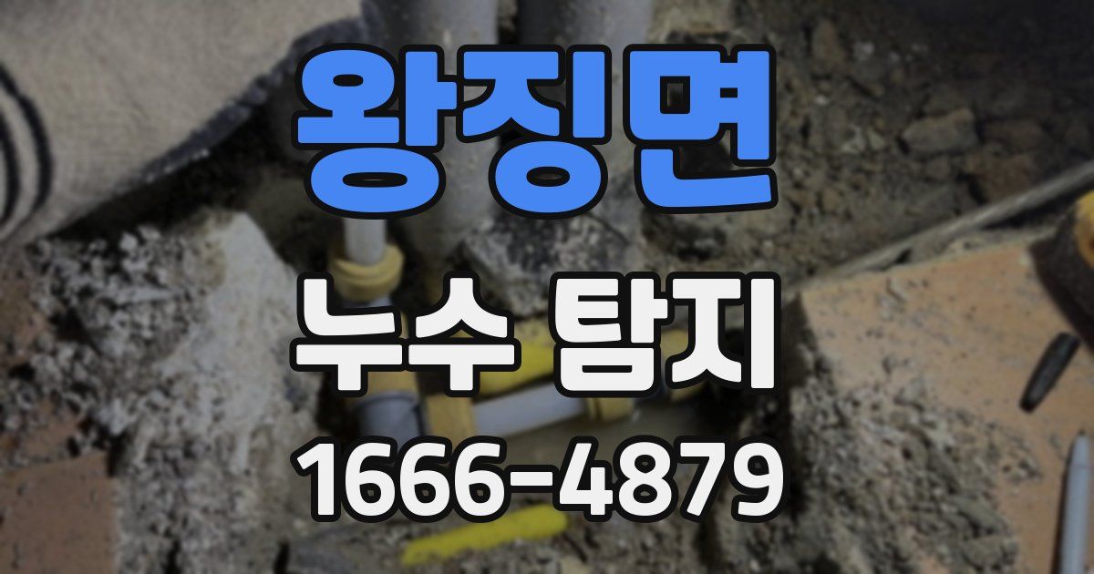 왕징면 누수 탐지