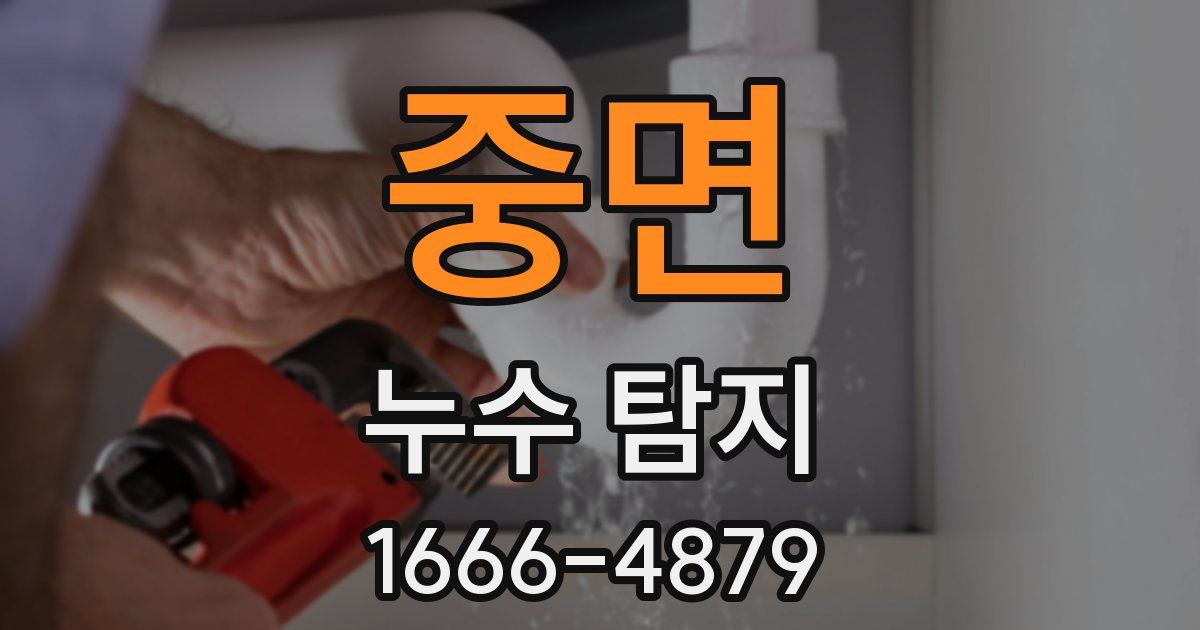 중면 누수 탐지