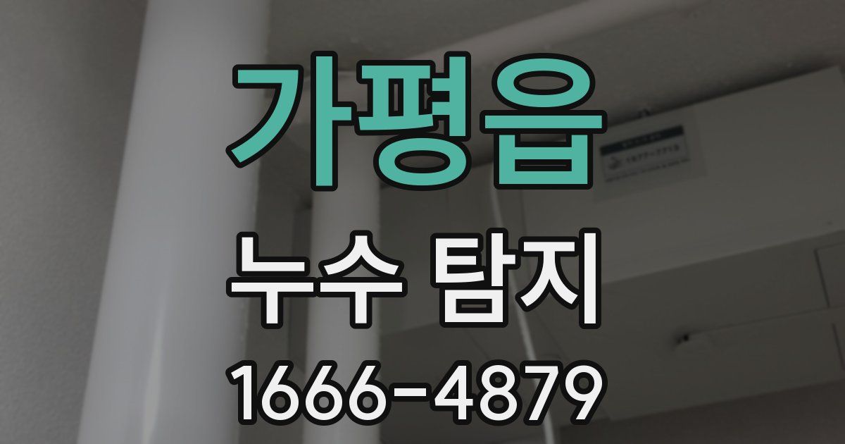 가평읍 누수 탐지