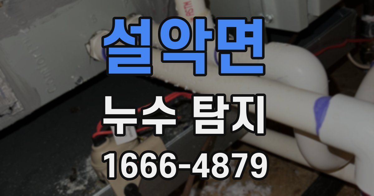 설악면 누수 탐지