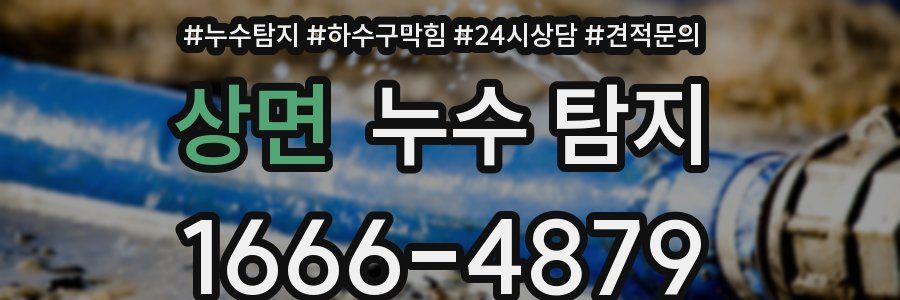상면 누수 탐지
