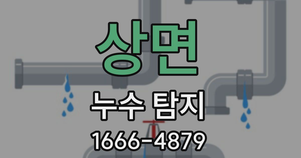 상면 누수 탐지