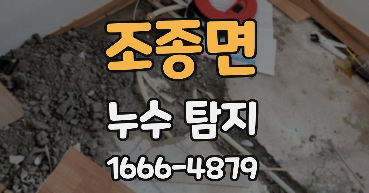 조종면 누수 탐지