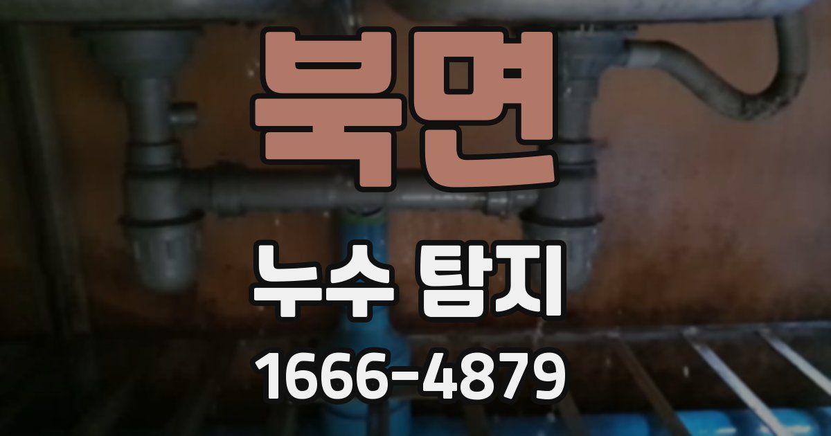 북면 누수 탐지