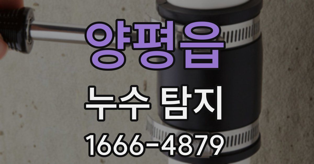 양평읍 누수 탐지