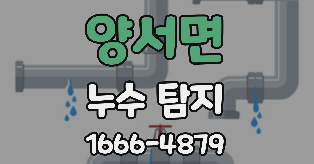 양서면 누수 탐지