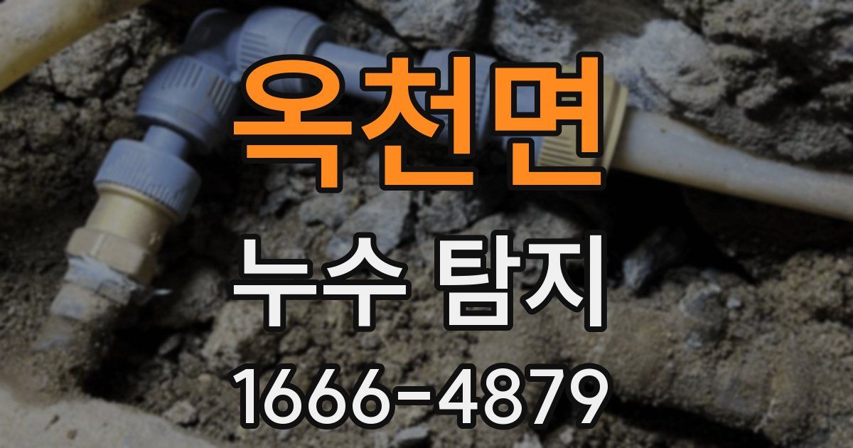 옥천면 누수 탐지