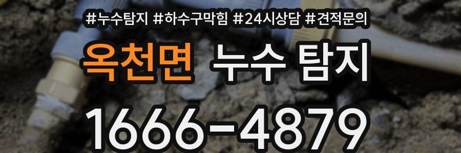 옥천면 누수 탐지