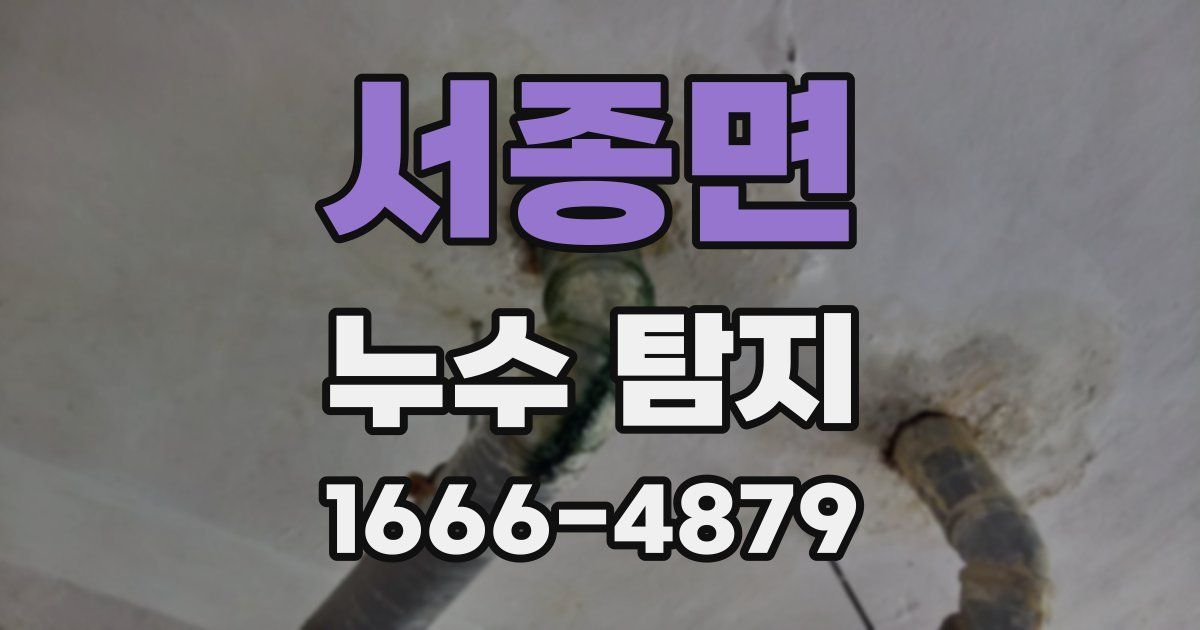 서종면 누수 탐지