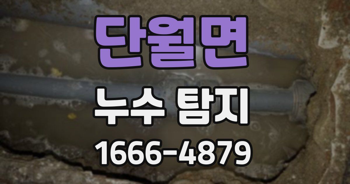 단월면 누수 탐지