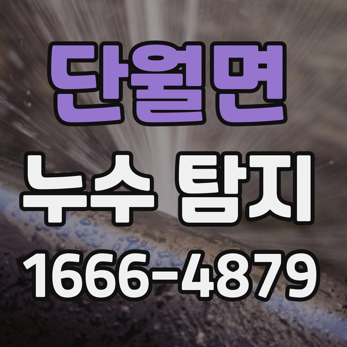 단월면 누수 탐지