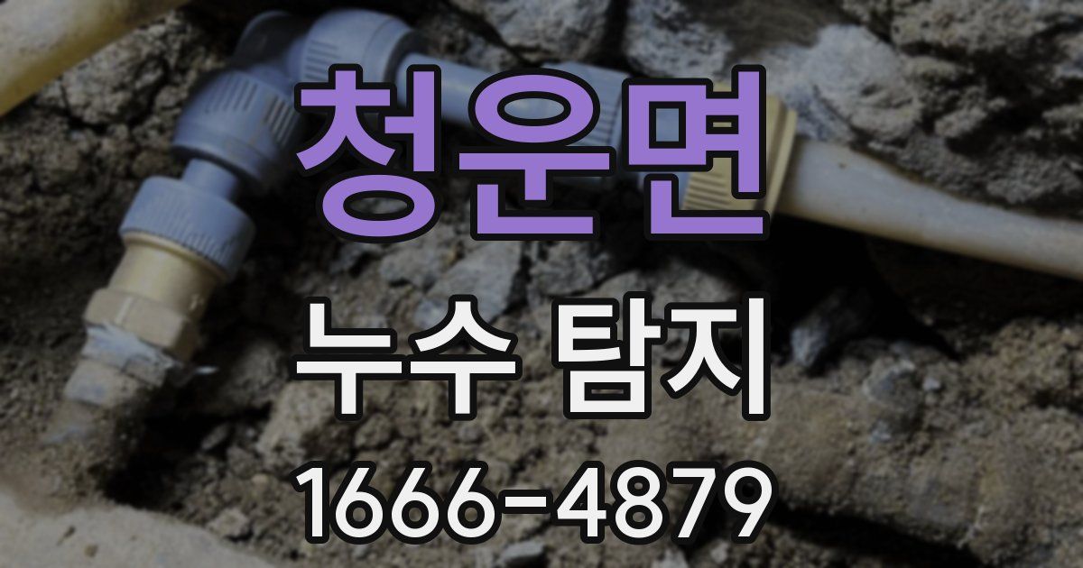 청운면 누수 탐지
