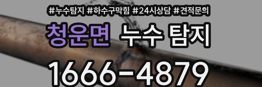 청운면 누수 탐지