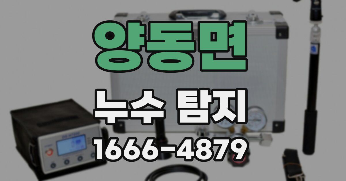 양동면 누수 탐지