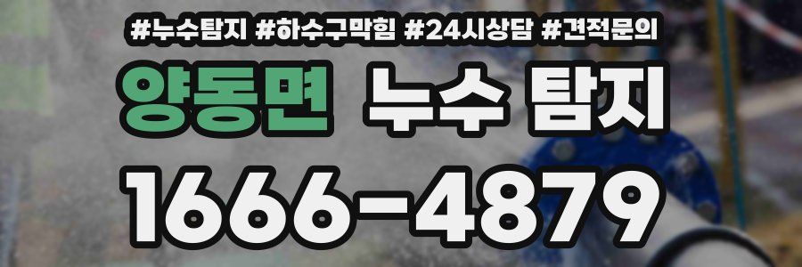양동면 누수 탐지