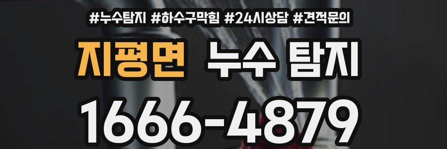 지평면 누수 탐지
