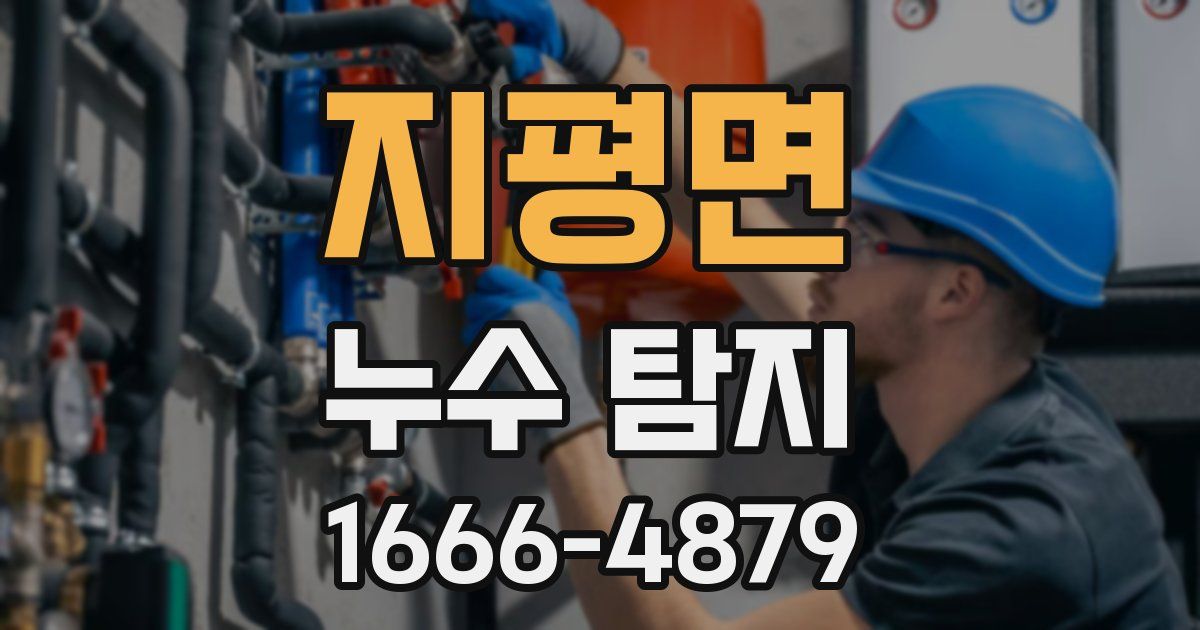 지평면 누수 탐지