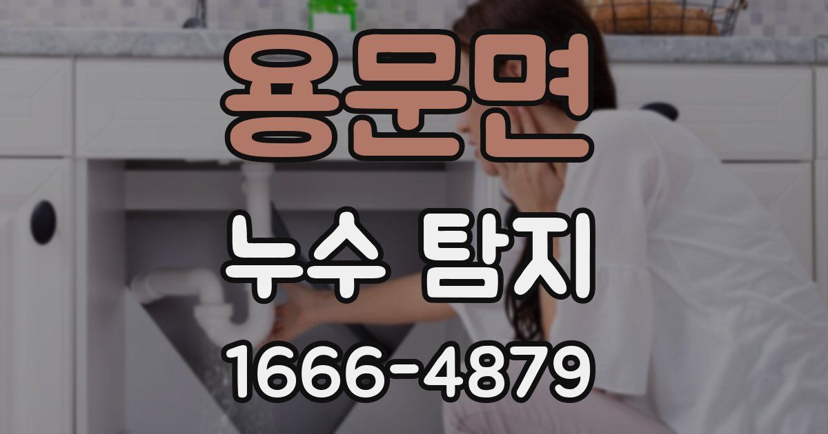 용문면 누수 탐지