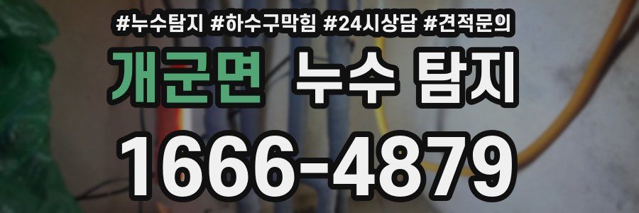 개군면 누수 탐지