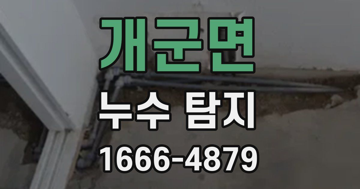 개군면 누수 탐지