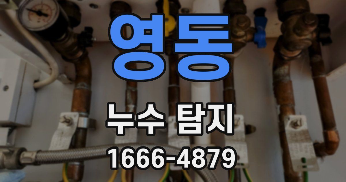 영동 누수 탐지