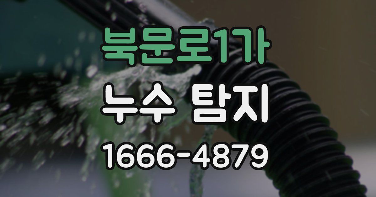 북문로1가 누수 탐지