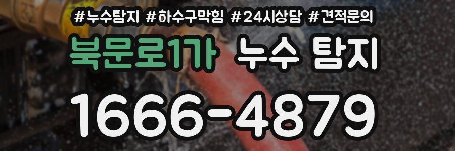 북문로1가 누수 탐지