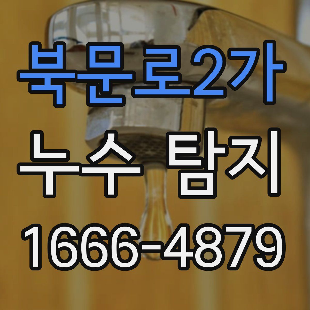 북문로2가 누수 탐지