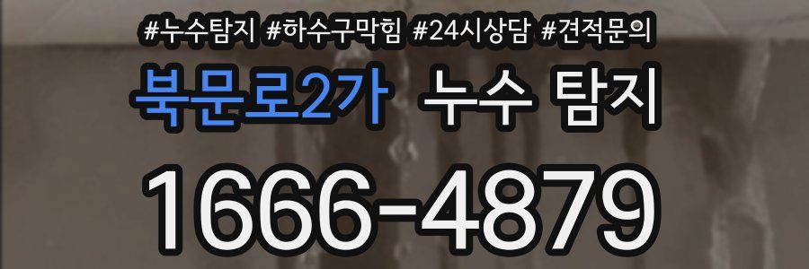 북문로2가 누수 탐지