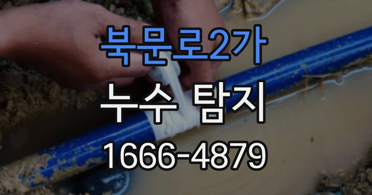 북문로2가 누수 탐지