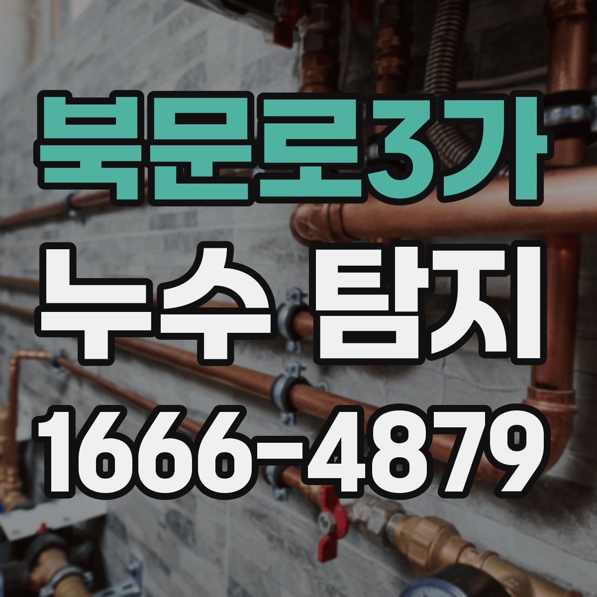 북문로3가 누수 탐지